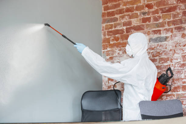 Best Air Quality Testing for Mold Spores  in Sea Isle City, NJ