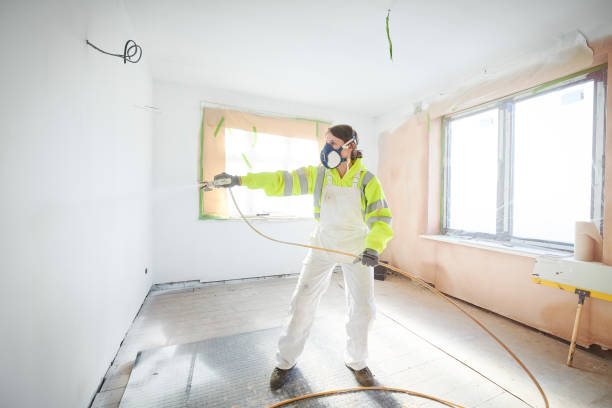 Sea Isle City, NJ Mold Removal Company