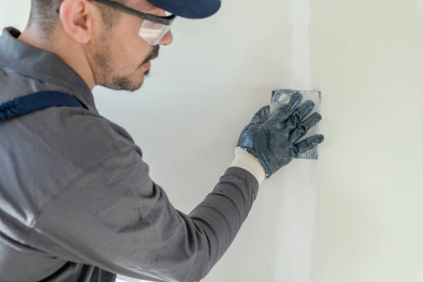 Best Environmental Consulting for Mold Prevention  in Sea Isle City, NJ