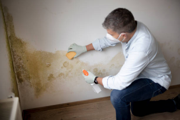 Best Industrial Mold Remediation  in Sea Isle City, NJ